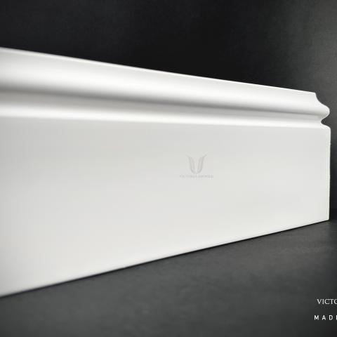 VE101